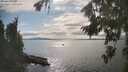 ./images/koeye/fitz-hugh/20260826/fitz-hugh20260826_164001M.jpg