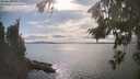 ./images/koeye/fitz-hugh/20260826/fitz-hugh20260826_164501M.jpg