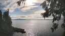./images/koeye/fitz-hugh/20260826/fitz-hugh20260826_165501M.jpg
