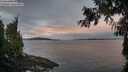 ./images/koeye/fitz-hugh/20260927/fitz-hugh20260927_073501M.jpg