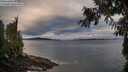 ./images/koeye/fitz-hugh/20260927/fitz-hugh20260927_083002M.jpg