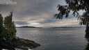 ./images/koeye/fitz-hugh/20260927/fitz-hugh20260927_084501M.jpg