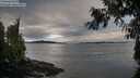 ./images/koeye/fitz-hugh/20260927/fitz-hugh20260927_085001M.jpg