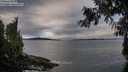 ./images/koeye/fitz-hugh/20260927/fitz-hugh20260927_085501M.jpg