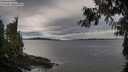 ./images/koeye/fitz-hugh/20260927/fitz-hugh20260927_091001M.jpg
