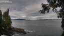 ./images/koeye/fitz-hugh/20260927/fitz-hugh20260927_092501M.jpg