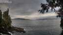 ./images/koeye/fitz-hugh/20260927/fitz-hugh20260927_094501M.jpg