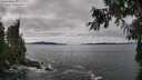 ./images/koeye/fitz-hugh/20260927/fitz-hugh20260927_115002M.jpg