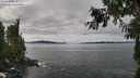 ./images/koeye/fitz-hugh/20260927/fitz-hugh20260927_115501M.jpg