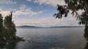 ./images/koeye/fitz-hugh/20260927/fitz-hugh20260927_121501M.jpg