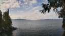 ./images/koeye/fitz-hugh/20260927/fitz-hugh20260927_123501M.jpg