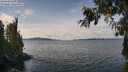 ./images/koeye/fitz-hugh/20260927/fitz-hugh20260927_124501M.jpg