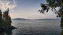 ./images/koeye/fitz-hugh/20260927/fitz-hugh20260927_125001M.jpg
