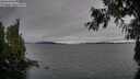 ./images/koeye/fitz-hugh/20260927/fitz-hugh20260927_155501M.jpg