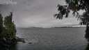 ./images/koeye/fitz-hugh/20260927/fitz-hugh20260927_160001M.jpg
