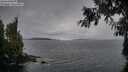 ./images/koeye/fitz-hugh/20260927/fitz-hugh20260927_162502M.jpg