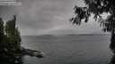./images/koeye/fitz-hugh/20260927/fitz-hugh20260927_164001M.jpg
