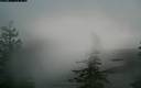 ./images/quadra/bluff/20171130/bluff20171130_085000M.jpg