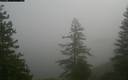 ./images/quadra/bluff/20171207/bluff20171207_101959M.jpg