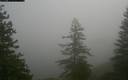 ./images/quadra/bluff/20171207/bluff20171207_102500M.jpg
