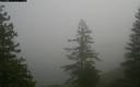 ./images/quadra/bluff/20171207/bluff20171207_102959M.jpg