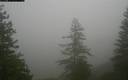 ./images/quadra/bluff/20171207/bluff20171207_103459M.jpg
