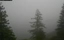 ./images/quadra/bluff/20171207/bluff20171207_104459M.jpg