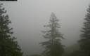 ./images/quadra/bluff/20171207/bluff20171207_105459M.jpg