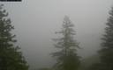 ./images/quadra/bluff/20171207/bluff20171207_110500M.jpg