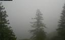 ./images/quadra/bluff/20171207/bluff20171207_110959M.jpg