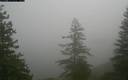 ./images/quadra/bluff/20171207/bluff20171207_111500M.jpg