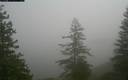 ./images/quadra/bluff/20171207/bluff20171207_112459M.jpg