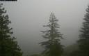 ./images/quadra/bluff/20171207/bluff20171207_112959M.jpg