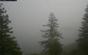 ./images/quadra/bluff/20171207/bluff20171207_113959M.jpg