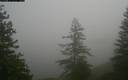 ./images/quadra/bluff/20171207/bluff20171207_114500M.jpg