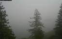 ./images/quadra/bluff/20171207/bluff20171207_115000M.jpg