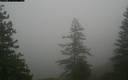 ./images/quadra/bluff/20171207/bluff20171207_120959M.jpg
