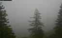./images/quadra/bluff/20171207/bluff20171207_122000M.jpg