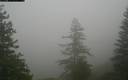 ./images/quadra/bluff/20171207/bluff20171207_123000M.jpg