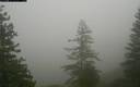 ./images/quadra/bluff/20171207/bluff20171207_123459M.jpg