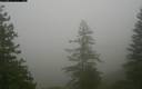 ./images/quadra/bluff/20171207/bluff20171207_124459M.jpg