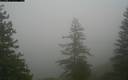./images/quadra/bluff/20171207/bluff20171207_125000M.jpg