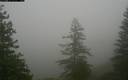 ./images/quadra/bluff/20171207/bluff20171207_131959M.jpg