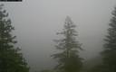 ./images/quadra/bluff/20171207/bluff20171207_134459M.jpg