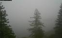 ./images/quadra/bluff/20171207/bluff20171207_135000M.jpg