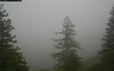 ./images/quadra/bluff/20171207/bluff20171207_140459M.jpg