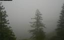 ./images/quadra/bluff/20171207/bluff20171207_142959M.jpg
