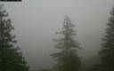 ./images/quadra/bluff/20171207/bluff20171207_145459M.jpg