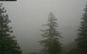 ./images/quadra/bluff/20171207/bluff20171207_155959M.jpg
