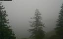 ./images/quadra/bluff/20171207/bluff20171207_160500M.jpg